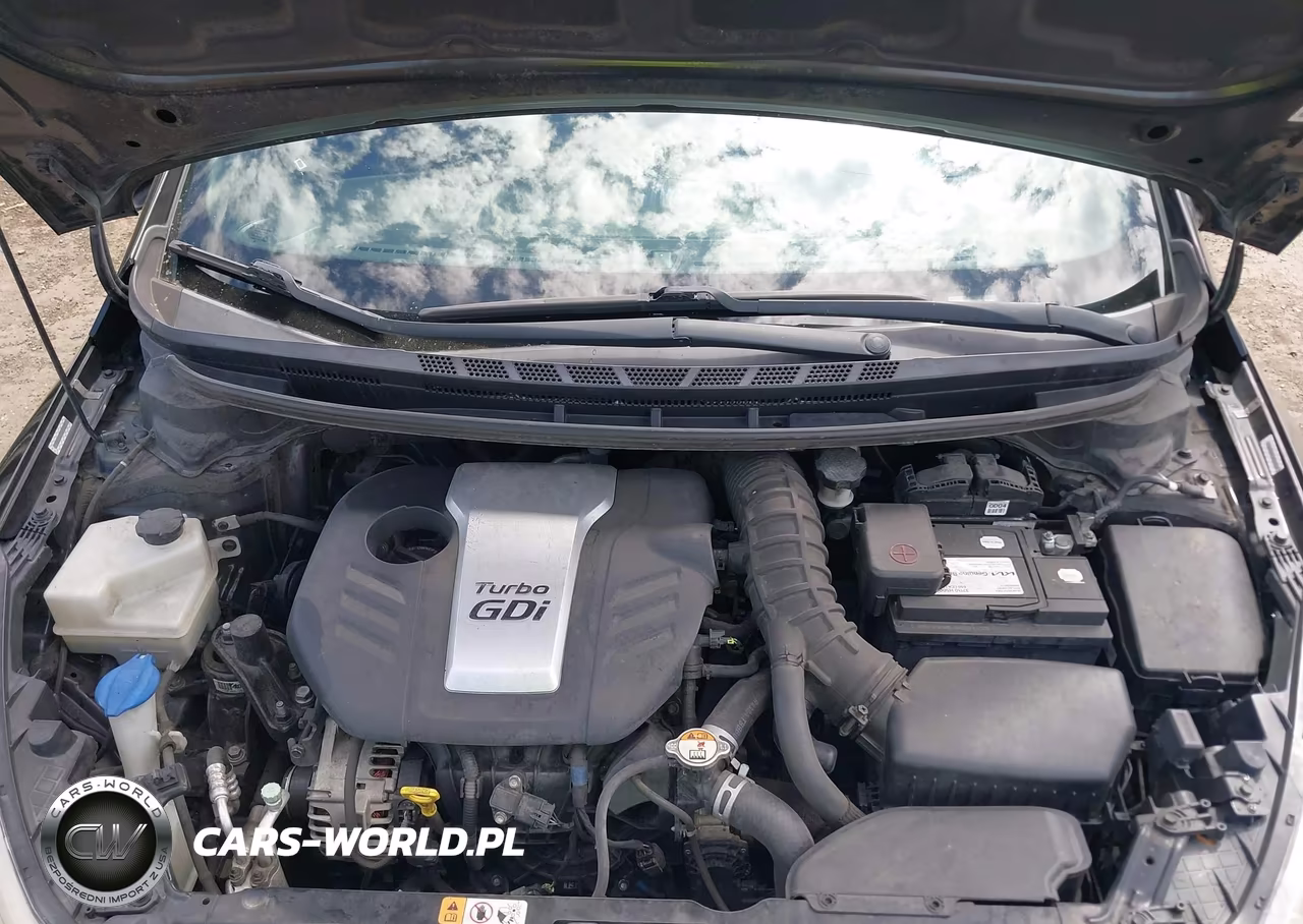 2015 Kia Forte Koup Sx VIN:KNAFZ6A35F5373877 - 10