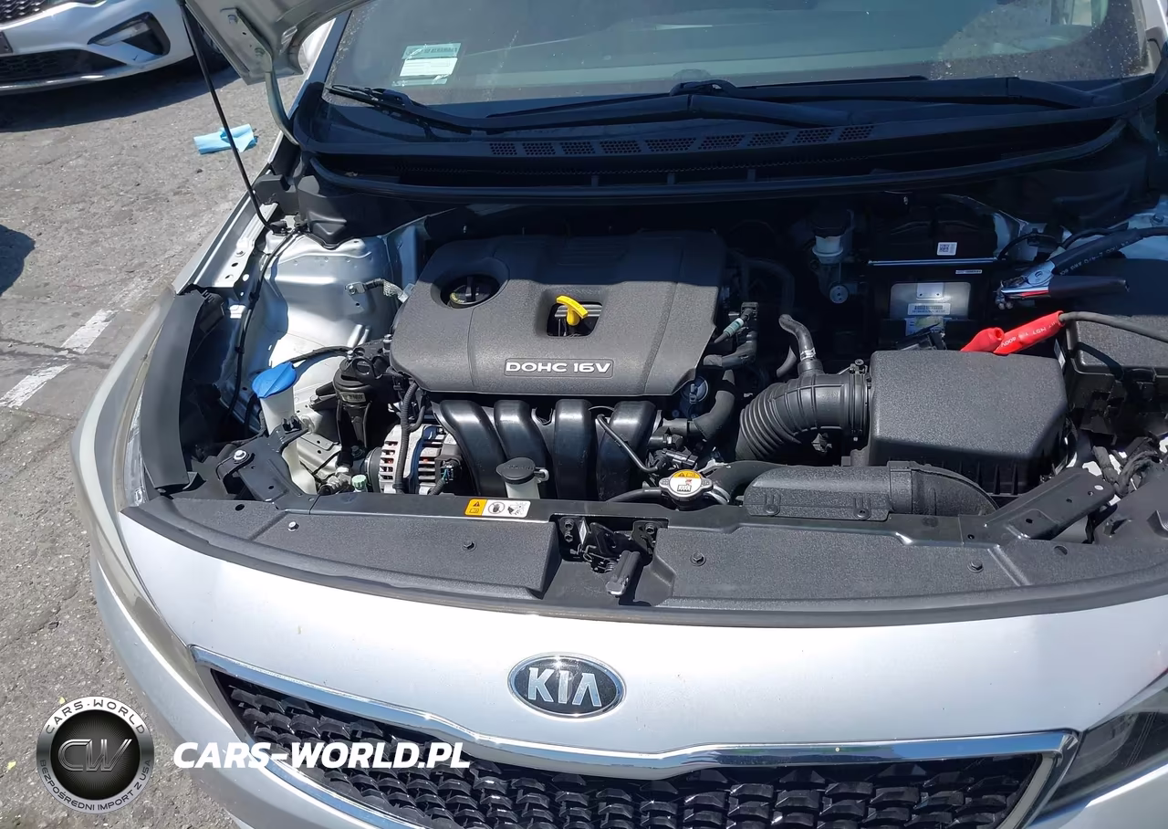 2017 Kia Forte Lx VIN:3KPFK4A71HE125647 - 10