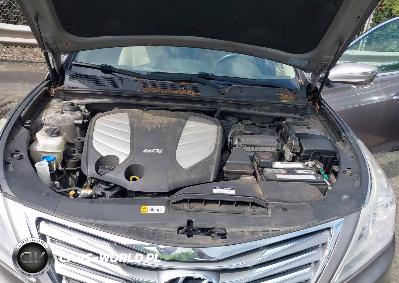 2013 Hyundai Azera VIN:KMHFG4JG5DA210064 - 10