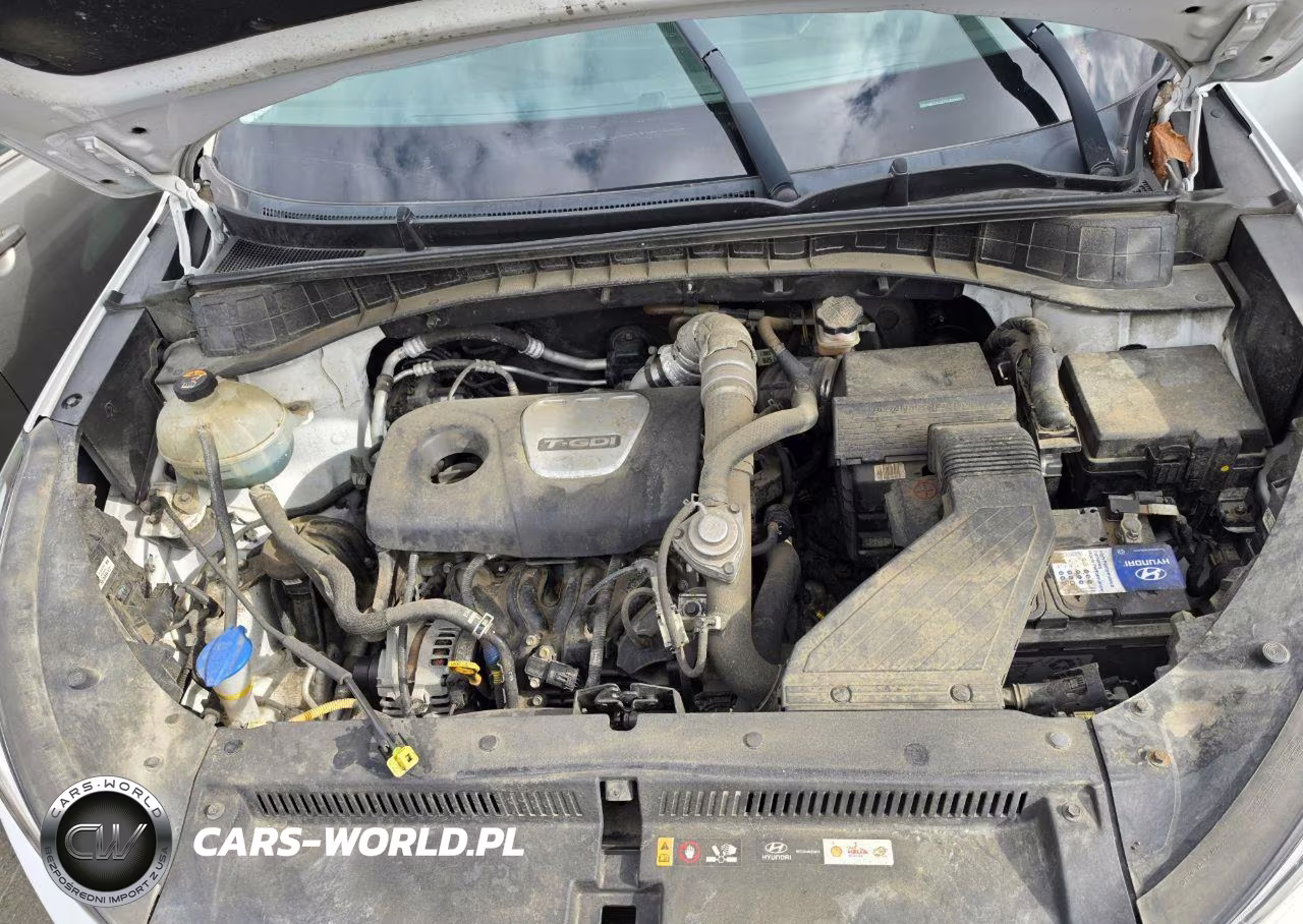 2013 Volkswagen Tiguan Se VIN:WVGBV7AX0DW548948 - 13