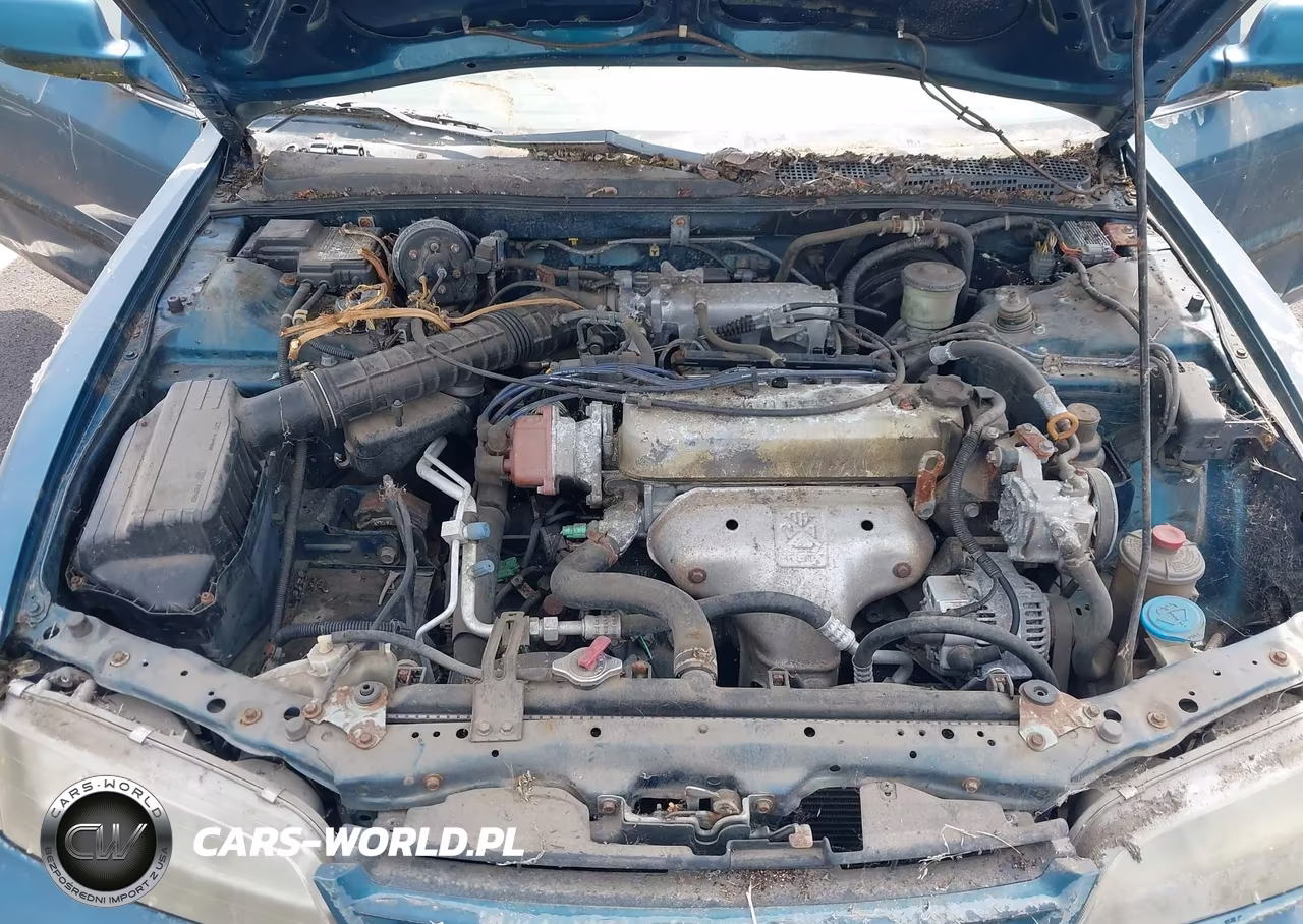 1995 Honda Accord Lx VIN:1HGCD7238SA008525 - 10