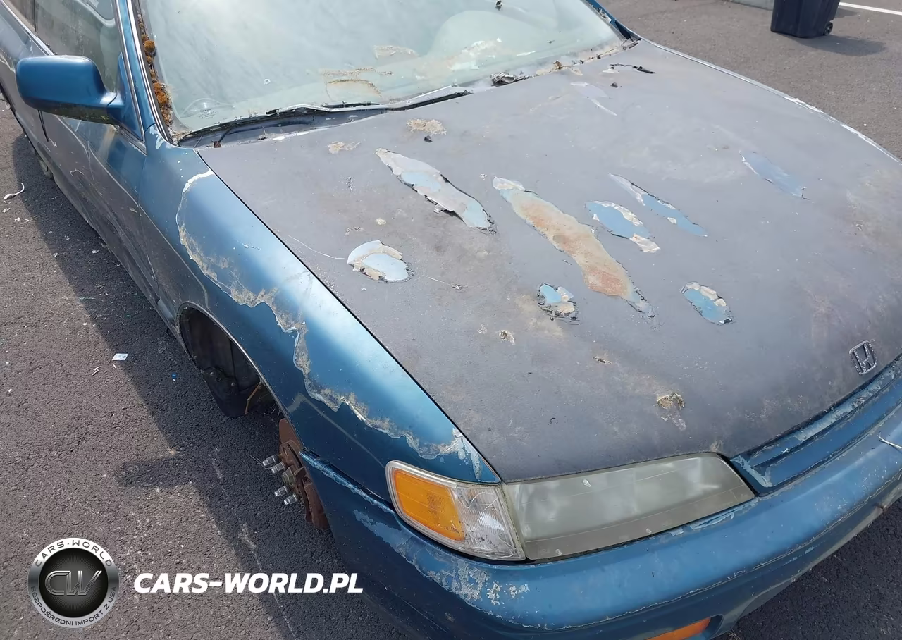1995 Honda Accord Lx VIN:1HGCD7238SA008525 - 6