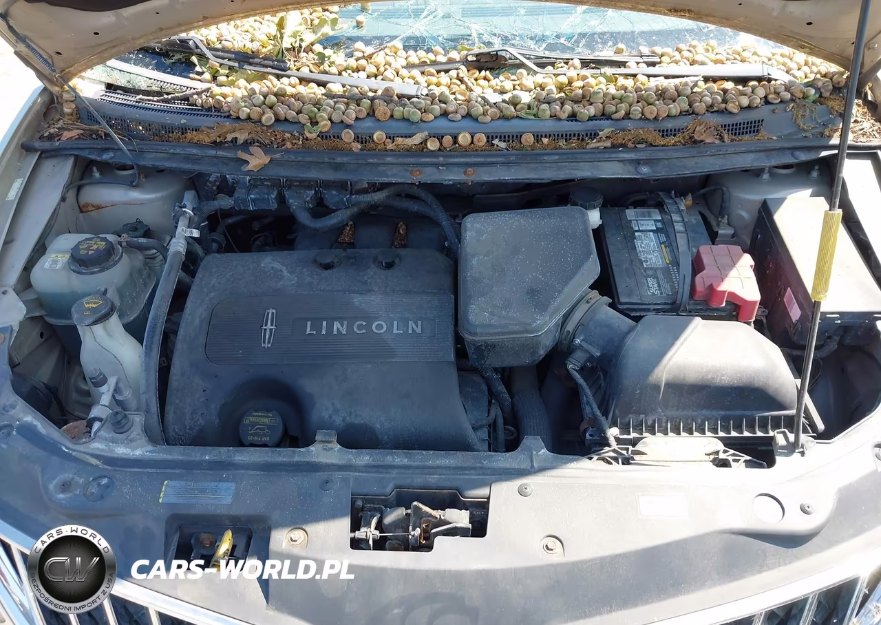 2011 Lincoln Mkx VIN:2LMDJ6JK4BBJ09984 - 10