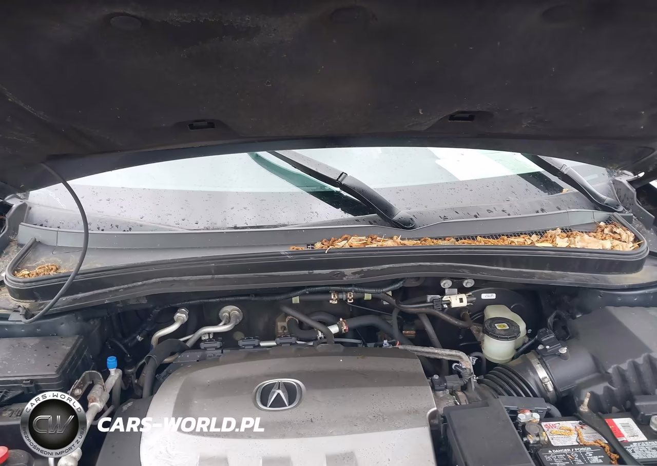 2010 Acura Mdx Technology Package VIN:2HNYD2H42AH510447 - 10