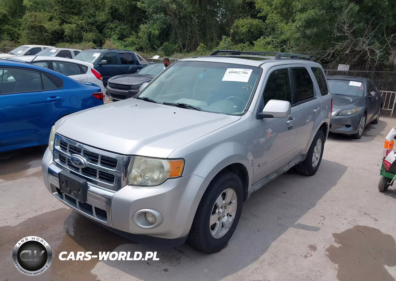 2009 Ford Escape Hybrid Limited VIN:1FMCU49319KB70354 - 2