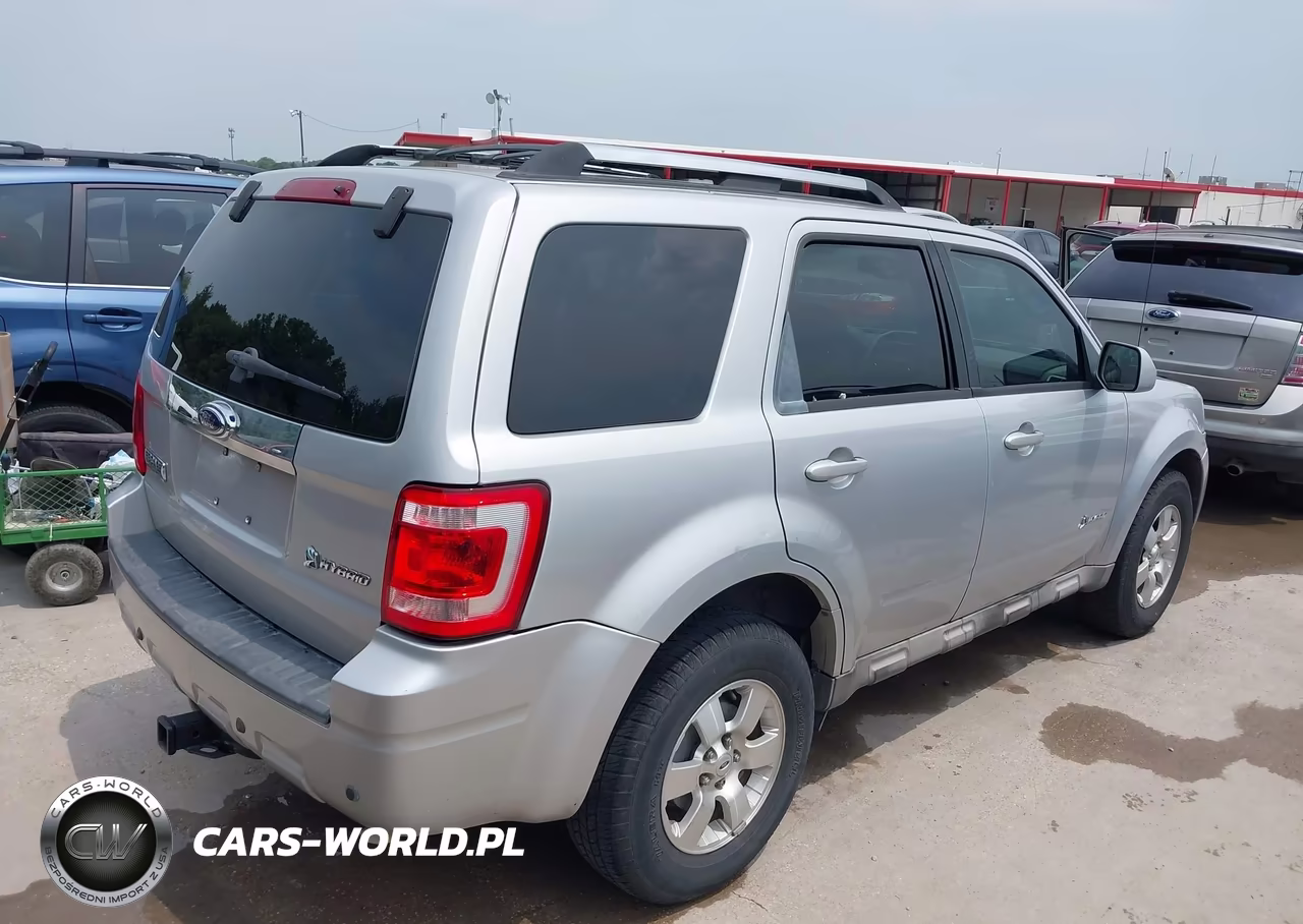 2009 Ford Escape Hybrid Limited VIN:1FMCU49319KB70354 - 4