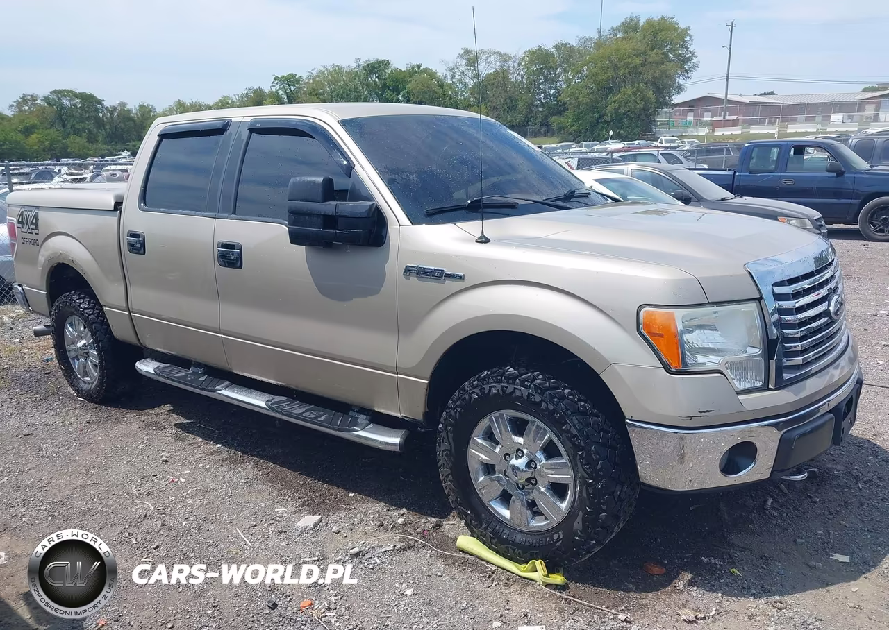 2010 Ford F-150 Xlt VIN:1FTEW1E88AFA36378 - 1