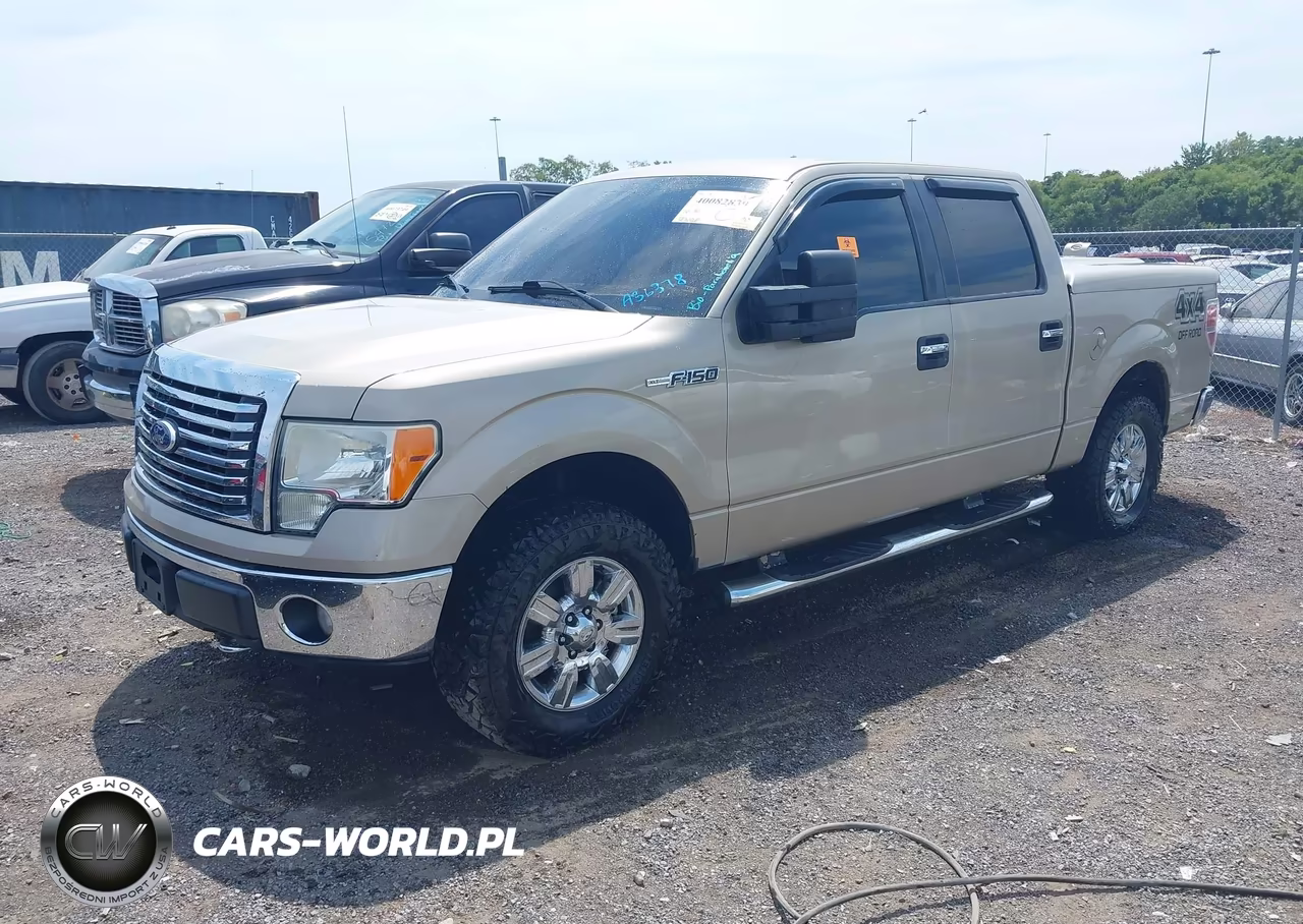 2010 Ford F-150 Xlt VIN:1FTEW1E88AFA36378 - 2