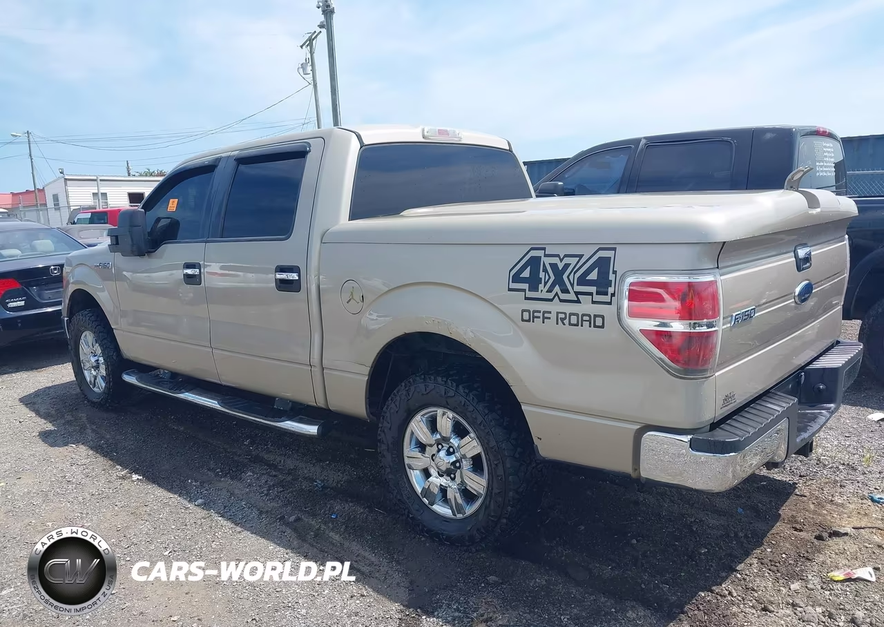 2010 Ford F-150 Xlt VIN:1FTEW1E88AFA36378 - 3