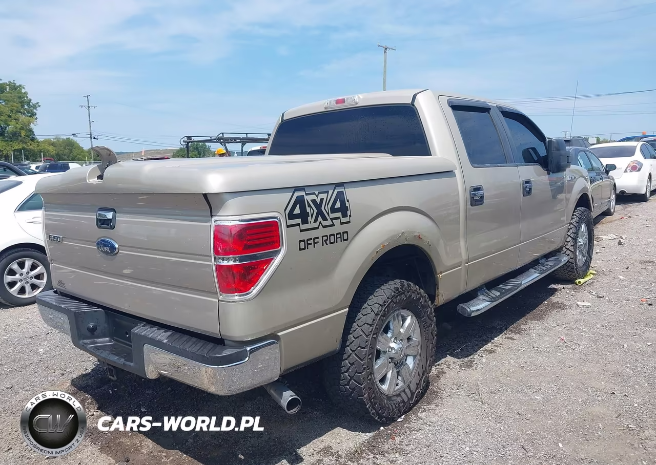 2010 Ford F-150 Xlt VIN:1FTEW1E88AFA36378 - 4