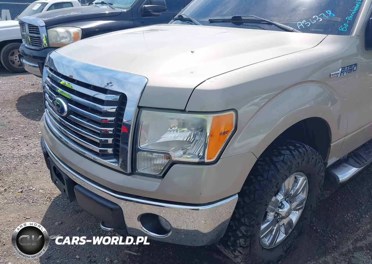 2010 Ford F-150 Xlt VIN:1FTEW1E88AFA36378 - 6