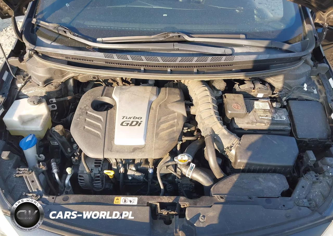 2015 Kia Forte Koup Sx VIN:KNAFZ6A36F5419233 - 10