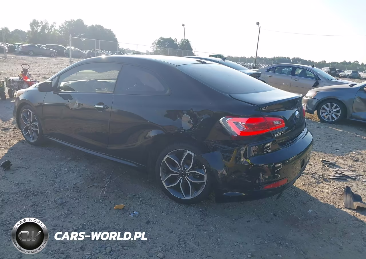 2015 Kia Forte Koup Sx VIN:KNAFZ6A36F5419233 - 3