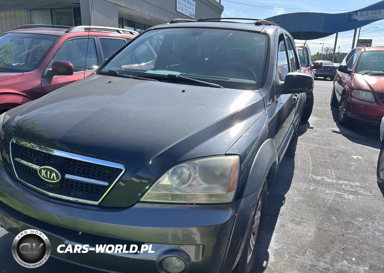 2003 Kia Sorento VIN:KNDJD733735061053 - 2