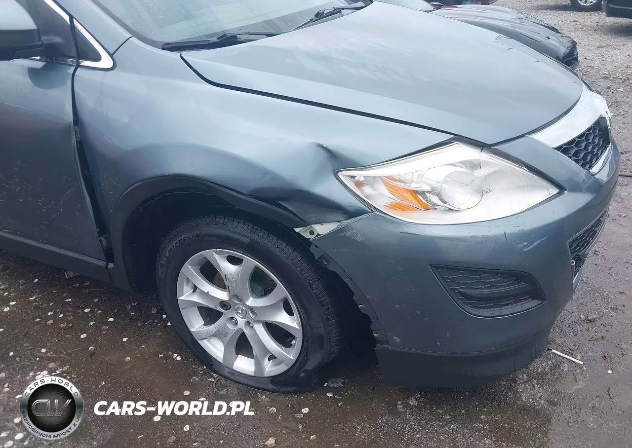2012 Mazda Cx-9 Touring VIN:JM3TB2CA3C0340908 - 17