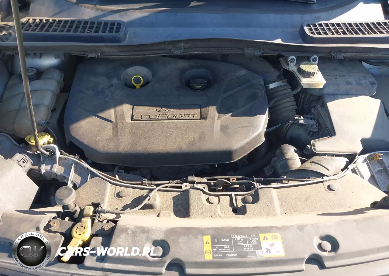 2013 Ford Escape Titanium VIN:1FMCU0J94DUD35366 - 10