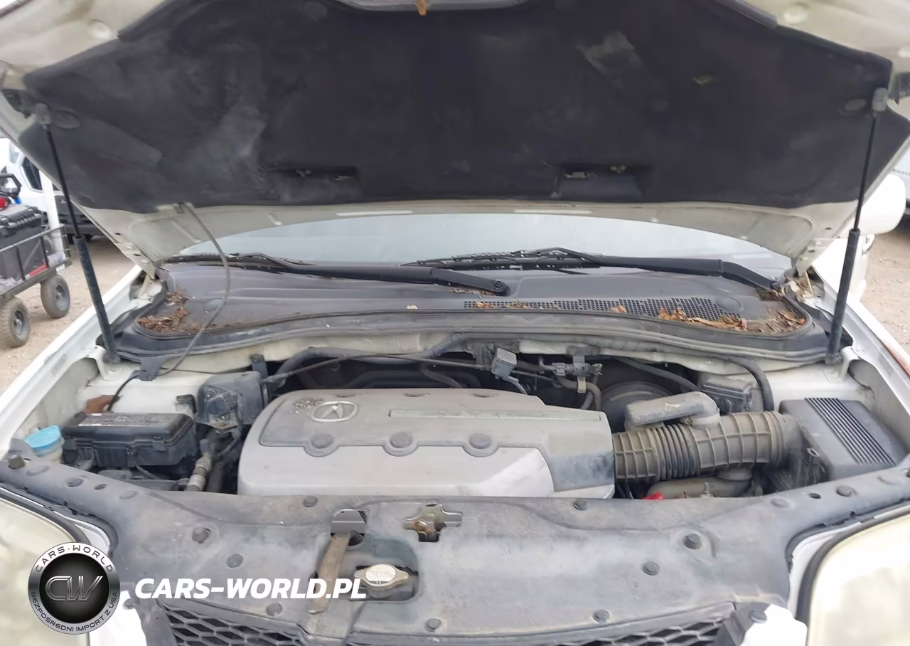 2006 Acura Mdx VIN:2HNYD18846H545625 - 10