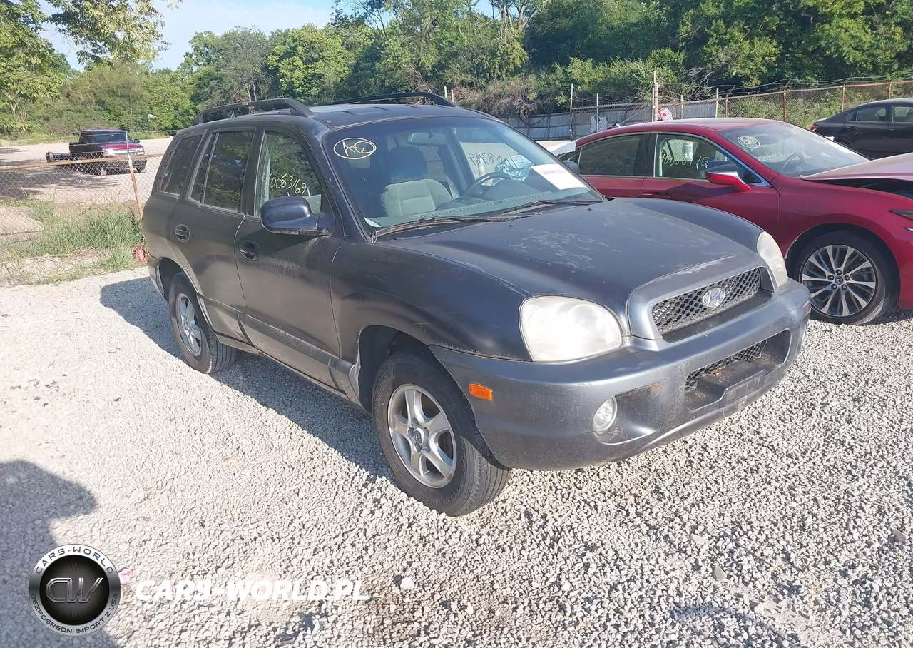 2004 Hyundai Santa Fe Gls-Lx