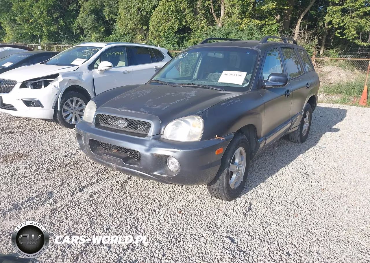 2004 Hyundai Santa Fe Gls-Lx VIN:KM8SC13E44U649534 - 2