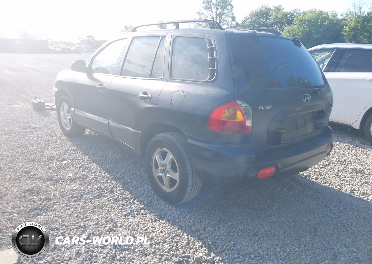 2004 Hyundai Santa Fe Gls-Lx VIN:KM8SC13E44U649534 - 3