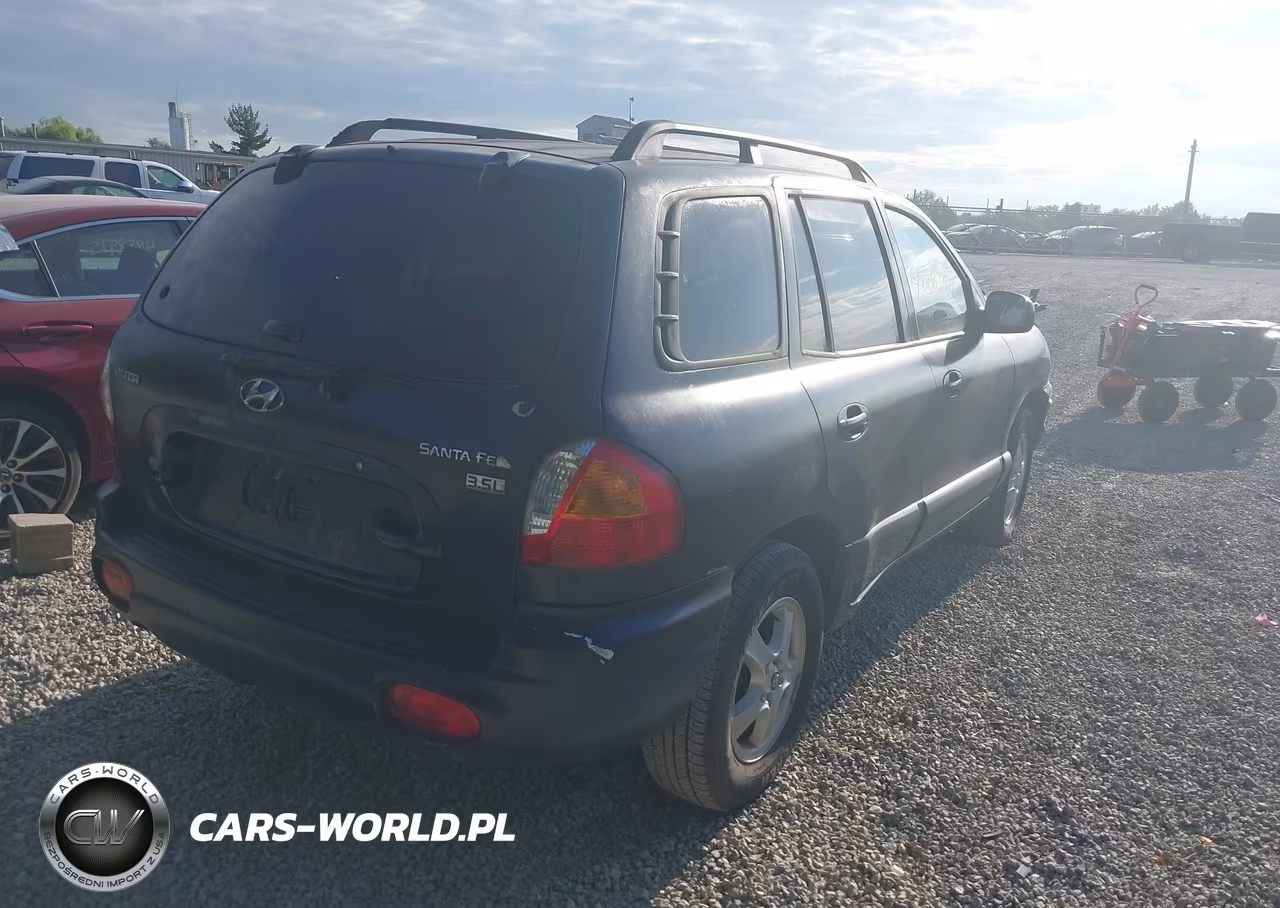 2004 Hyundai Santa Fe Gls-Lx VIN:KM8SC13E44U649534 - 4