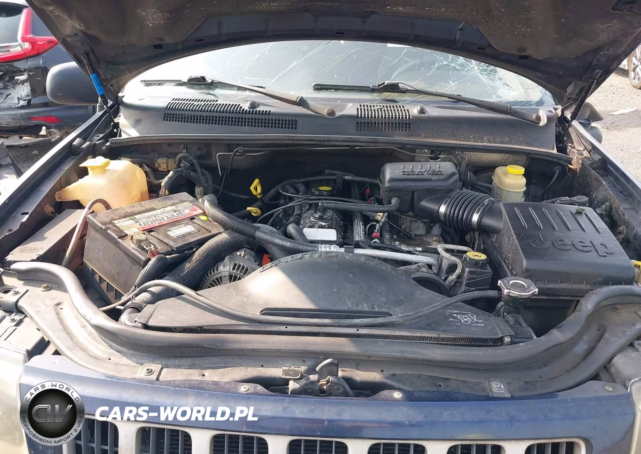 2004 Jeep Grand Cherokee Laredo VIN:1J4GX48S14C266973 - 10