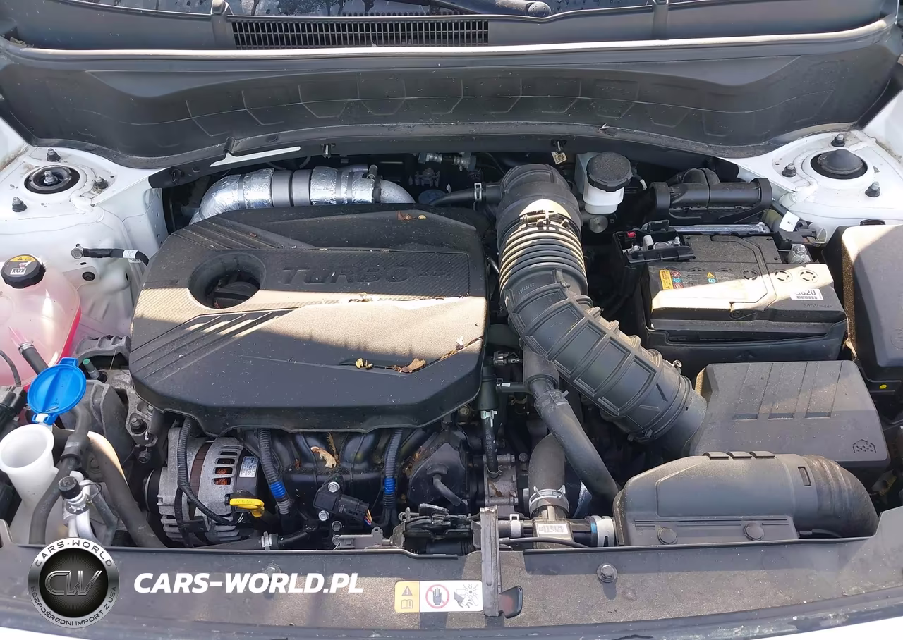 2021 Kia Seltos Sx Turbo VIN:KNDETCA23M7175659 - 10