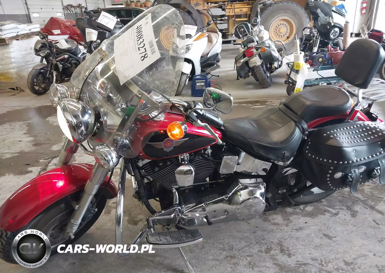 1999 Harley-Davidson Flstf VIN:1HD1BML12XY016317 - 13