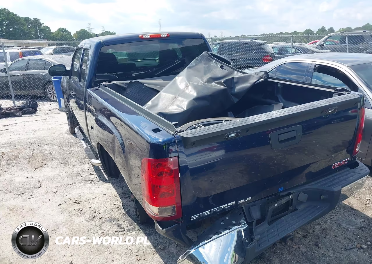 2009 GMC Sierra 1500 Sle VIN:1GTEC29J39Z289744 - 18