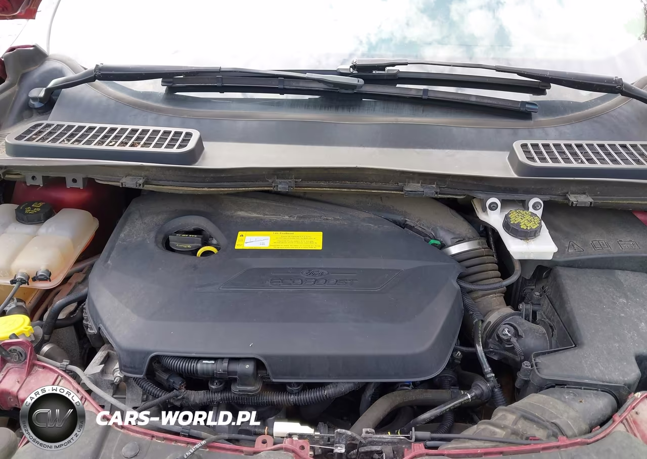 2015 Ford Escape Se VIN:1FMCU0GX7FUC21645 - 10
