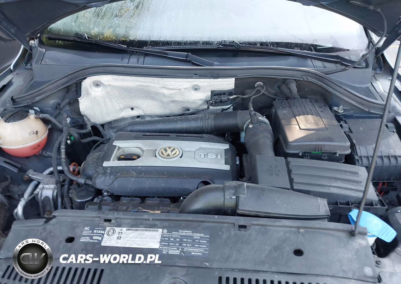 2010 Volkswagen Tiguan Se VIN:WVGAV7AX5AW507433 - 10