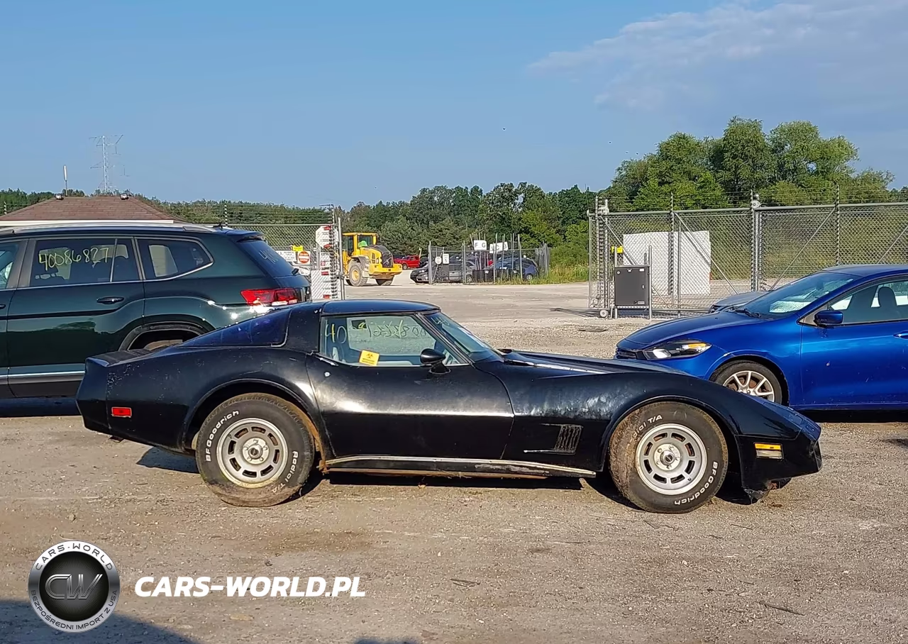 1980 Chevrolet Corvette VIN:1Z878AS410399 - 13