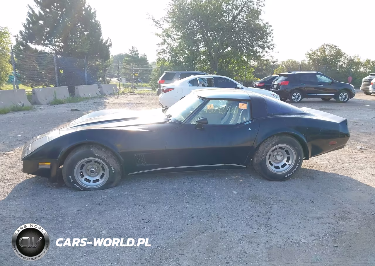 1980 Chevrolet Corvette VIN:1Z878AS410399 - 14