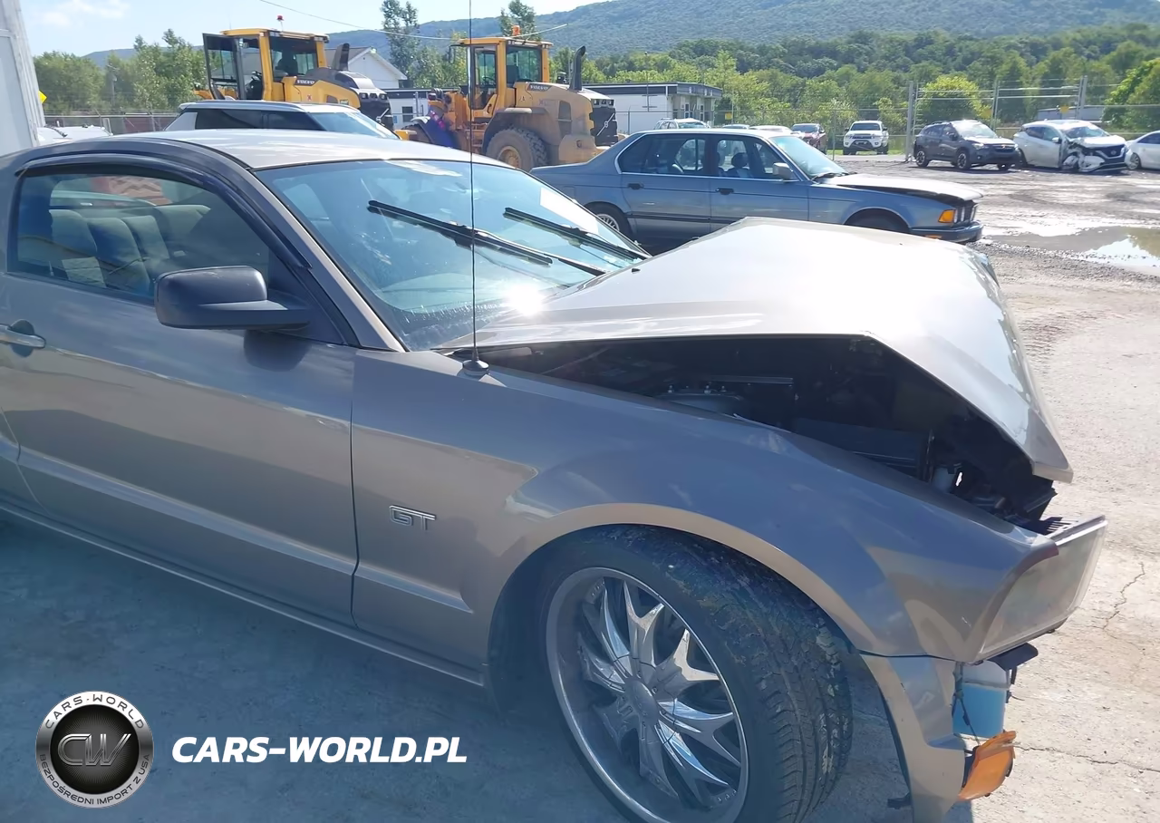 2005 Ford Mustang Gt Deluxe-Gt Premium VIN:1ZVFT82HX55234589 - 17