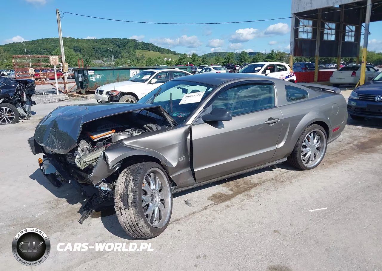 2005 Ford Mustang Gt Deluxe-Gt Premium VIN:1ZVFT82HX55234589 - 2