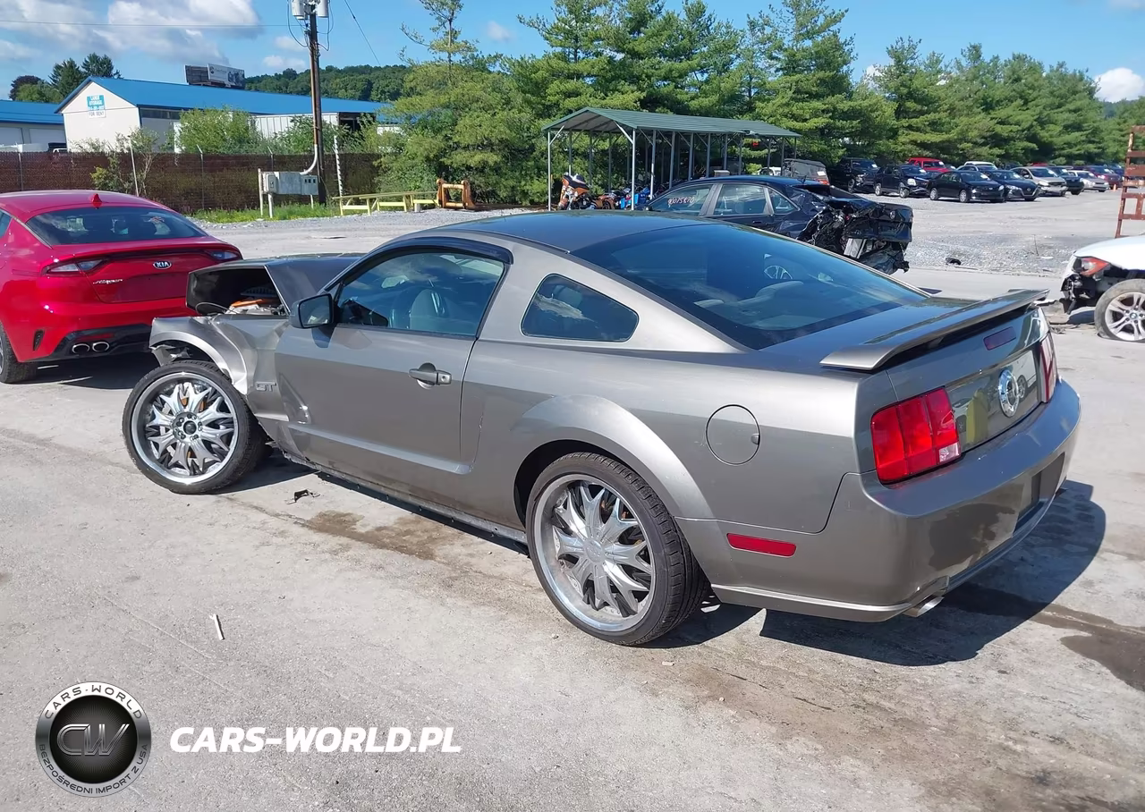2005 Ford Mustang Gt Deluxe-Gt Premium VIN:1ZVFT82HX55234589 - 3