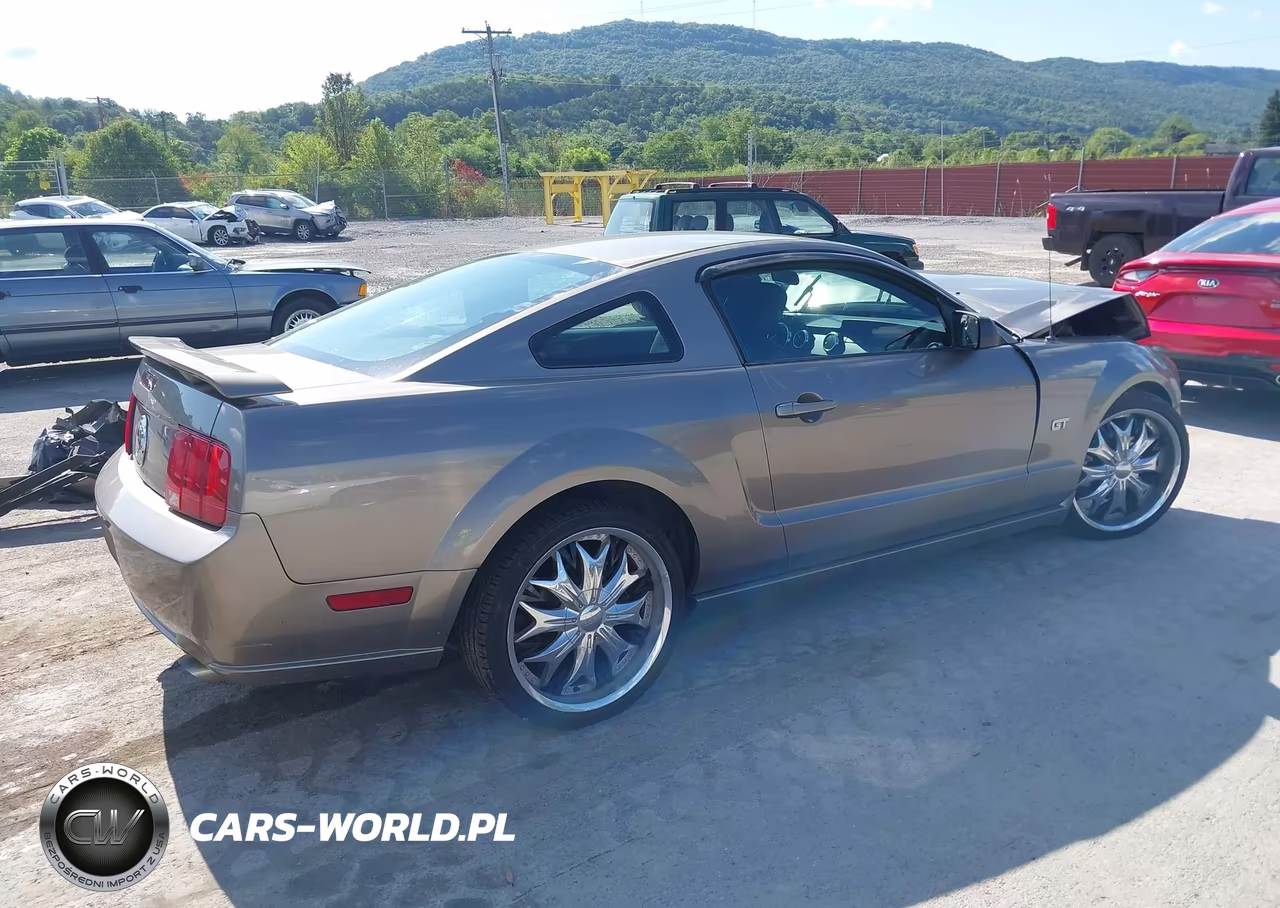 2005 Ford Mustang Gt Deluxe-Gt Premium VIN:1ZVFT82HX55234589 - 4