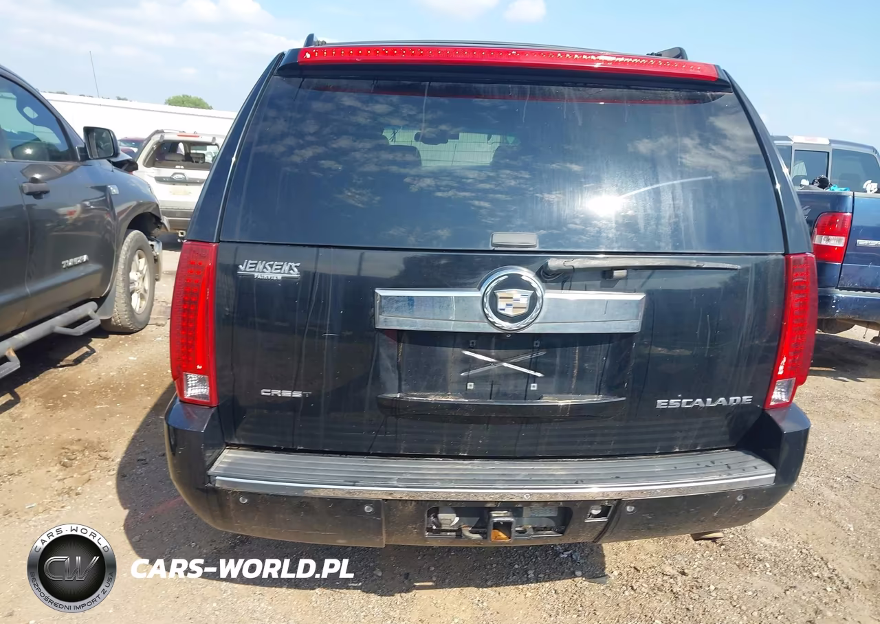 2008 Cadillac Escalade Esv Standard VIN:1GYFK66818R132027 - 17