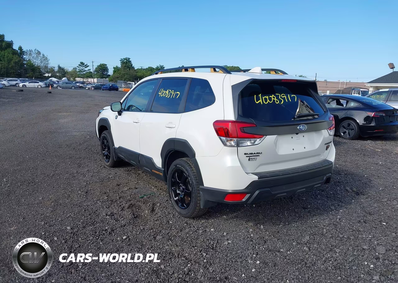 2023 Subaru Forester Wilderness VIN:JF2SKAMC5PH455324 - 3
