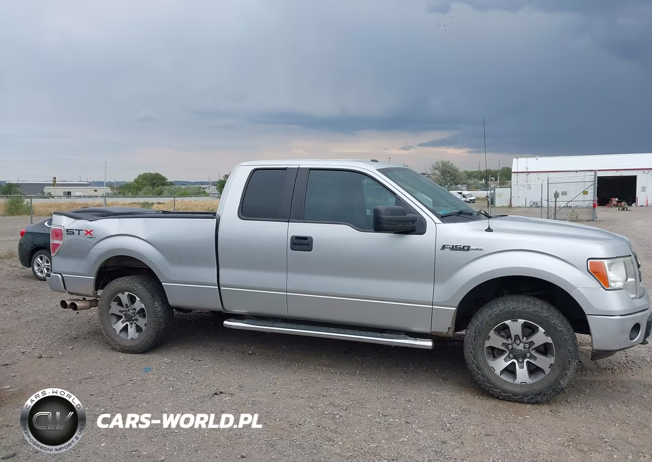 2013 Ford F-150 Stx VIN:1FTFX1EF2DFB67326 - 13