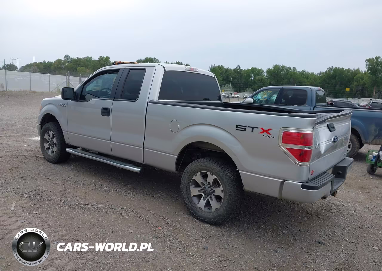2013 Ford F-150 Stx VIN:1FTFX1EF2DFB67326 - 3