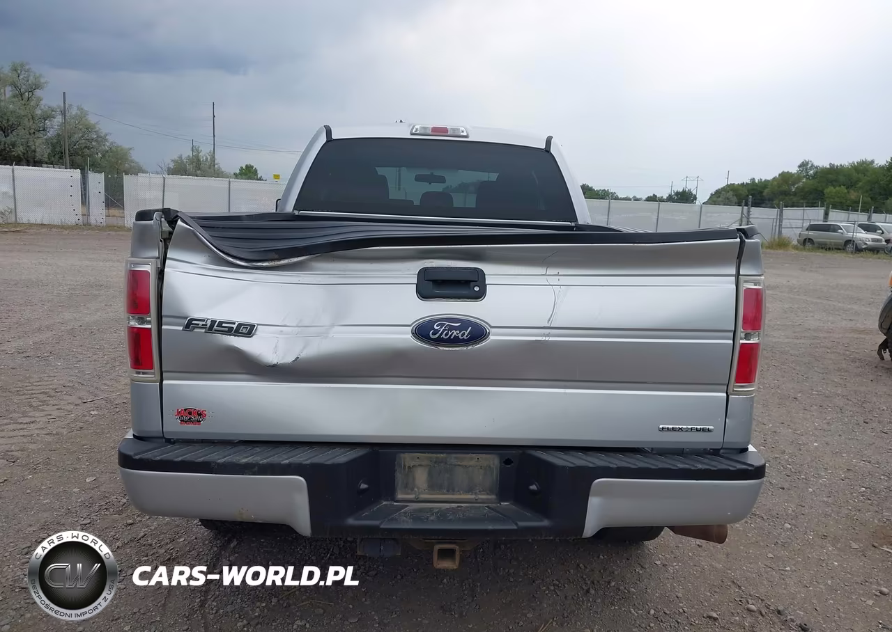 2013 Ford F-150 Stx VIN:1FTFX1EF2DFB67326 - 6