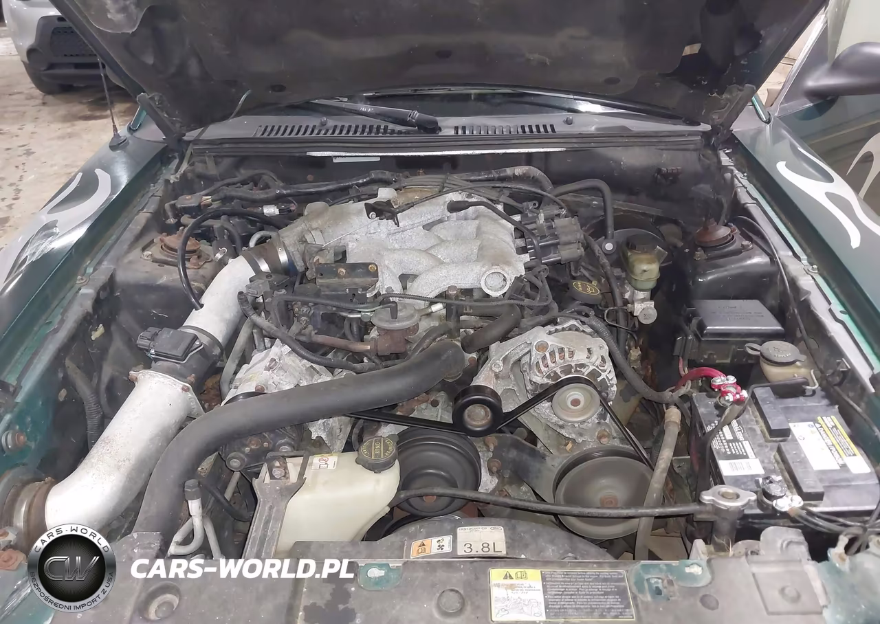 2002 Ford Mustang VIN:1FAFP40402F157419 - 10