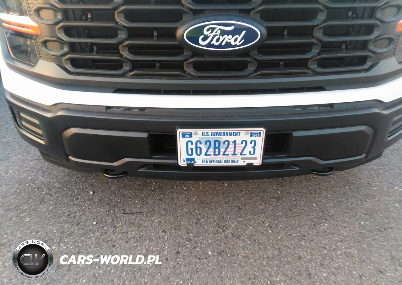 2024 Ford F-150 Xl VIN:1FTMF1LP8RKE56084 - 9