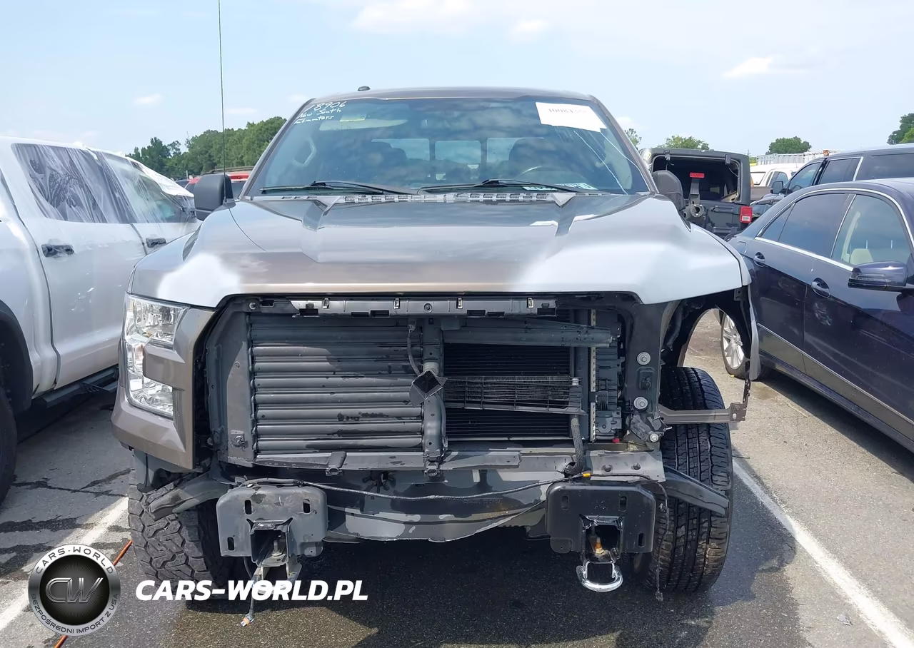 2015 Ford F-150 Xlt VIN:1FTEW1EF1FFC25556 - 13