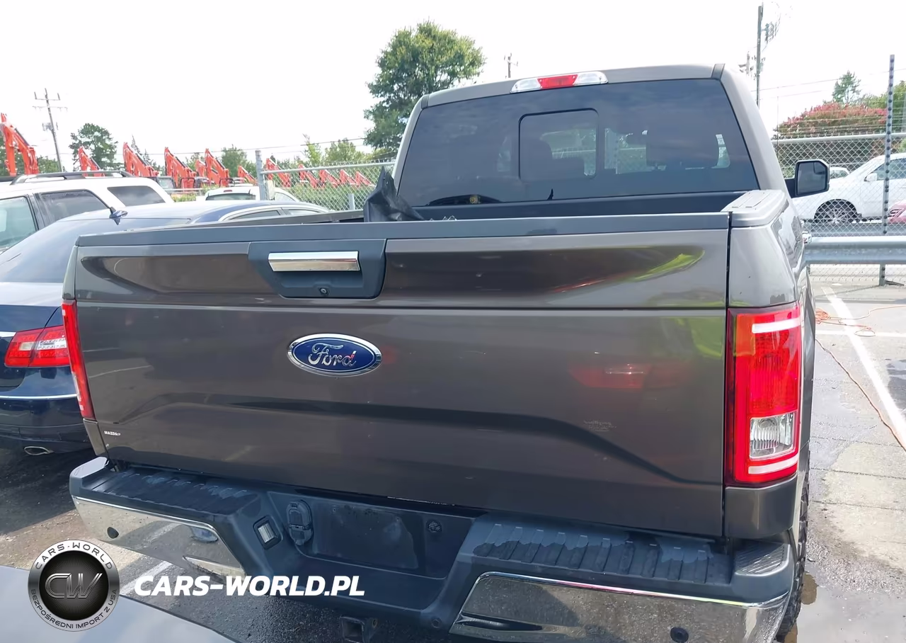 2015 Ford F-150 Xlt VIN:1FTEW1EF1FFC25556 - 17