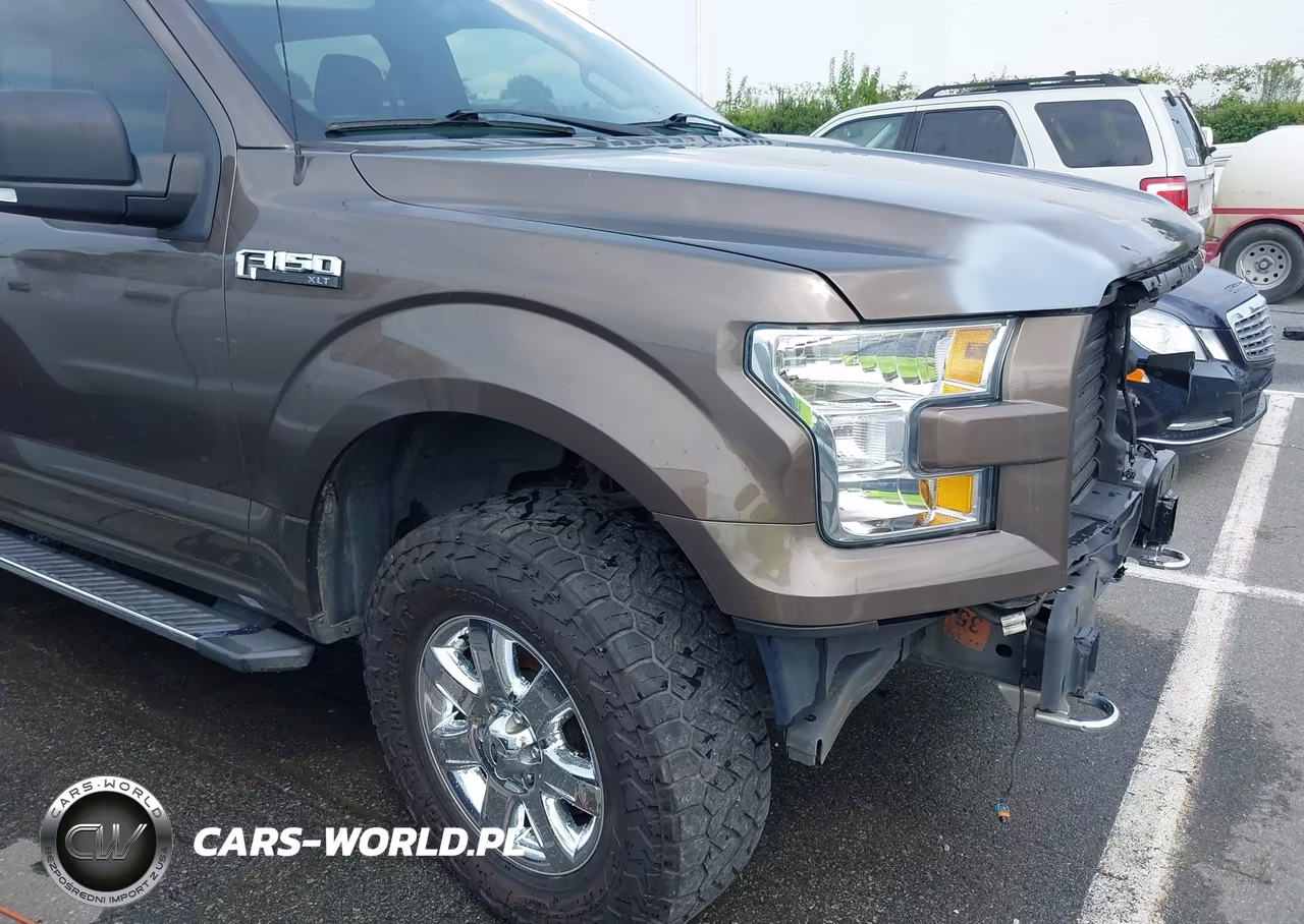 2015 Ford F-150 Xlt VIN:1FTEW1EF1FFC25556 - 19