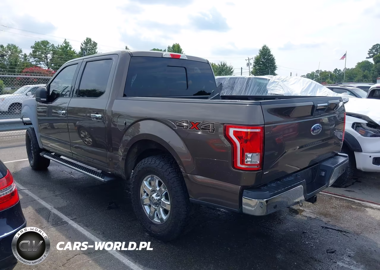 2015 Ford F-150 Xlt VIN:1FTEW1EF1FFC25556 - 3