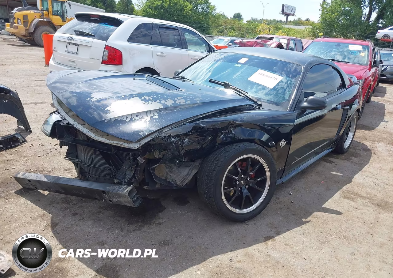 1999 Ford Mustang Gt VIN:1FAFP42X6XF107672 - 2