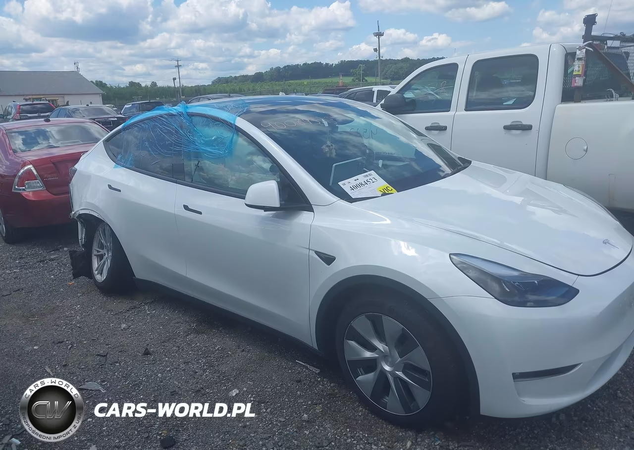 2023 Tesla Model Y Awd-Long Range Dual Motor All-Wheel Drive VIN:7SAYGDEE8PF797316 - 13